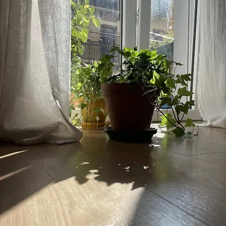 Bella Easo Appartement Saint-Sébastien