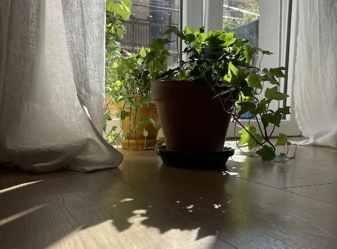 Bella Easo 公寓 圣塞瓦斯蒂安